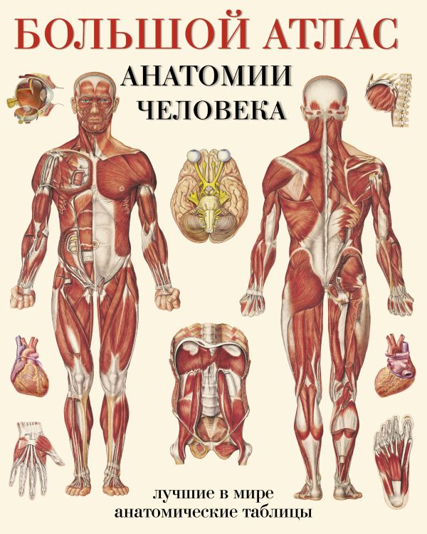 Большой атлас анатомии человека. Махиянова Евгения Борисовна