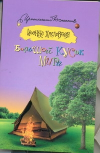 Большой кусок мира Большой кусок мира Хмелевская И.