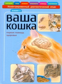 Ваша кошка