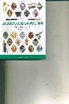 Викканская магия : общее руководство