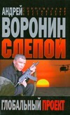 

Воронин Слепой Глобальный проект