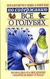 Все о голубях
