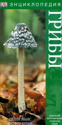 Грибы