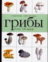 Грибы Грибы Макарова Н.Е.