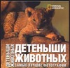 Детеныши животных Детеныши животных Ильдос А.С.