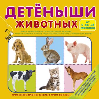 Детёныши животных Детёныши животных .