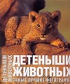 Детеныши животных. Самые лучшие фотографии Детеныши животных. Самые лучшие фотографии Манферто де Фабианис В.