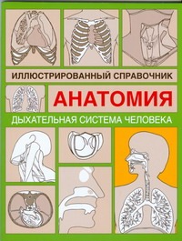 Дыxательная система человека Дыxательная система человека Максименко О.И.