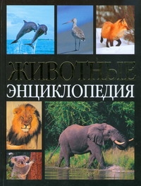 Животные Животные Касаткина Ю.Н.