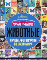 Животные. Лучшие фотографии со всего мира