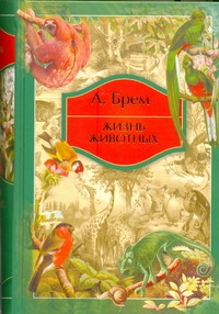 Жизнь животных в одном томе Жизнь животных в одном томе Брем А. Э.