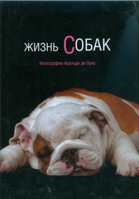 Жизнь собак