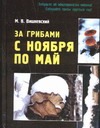 

За грибами с ноября по май
