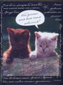 Зап.книжка А6 64л. Зверята-котята-48099 Зап.книжка А6 64л. Зверята-котята-48099