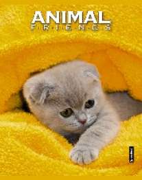 Записная книжка А6 80л.Котенок в желт.полотенце-48197(дут)синяя клетка Записная книжка А6 80л.Котенок в желт.полотенце-48197(дут)синяя клетка