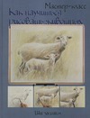 Как научиться рисовать животных. Шаг за шагом Как научиться рисовать животных. Шаг за шагом Кицей Е.Н.