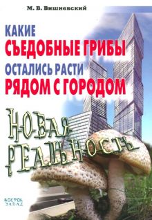Какие съедобные грибы остались расти рядом с городом