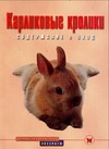 Карликовые кролики. Содержание и уход