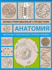 Клеточное и генетическое строение человека