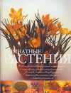 Комнатные растения Комнатные растения Леендертц Л.