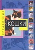 Кошки Кошки Капралова А.