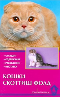 Кошки скоттиш-фолд Кошки скоттиш-фолд Шевченко Е.А.
