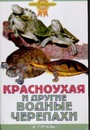 Красноухая и другие водные черепахи