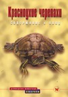 Красноухие черепахи