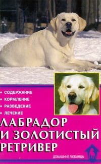 Лабрадор и золотистый ретривер
