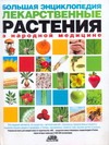 Лекарственные растения в народной медицине