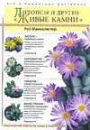 

Литопсы и другие "живые камни"