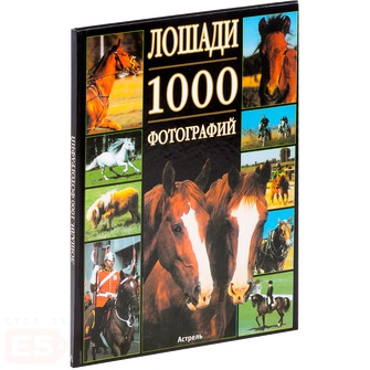 Лошади Лошади Леклер Бертран