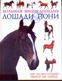 Лошади & пони лошади и пони