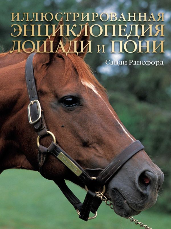 Лошади и пони. Иллюстрированная энциклопедия Лошади и пони. Иллюстрированная энциклопедия Рансфорд С.