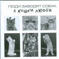 Люди заводят собак, а кошки людей