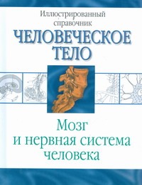 Мозг и нервная система человека Мозг и нервная система человека Борисова И.