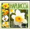 Нарциссы Нарциссы Волкова В.Н.