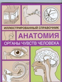 

Органы чувств человека