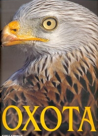 Охота