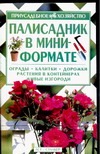 Палисадник в мини-формате