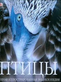 Птицы