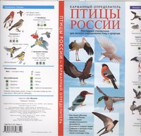 Птицы России. Карманный определитель
