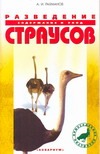Разведение страусов