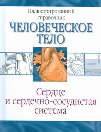 Сердце и сердечно-сосудистая система Сердце и сердечно-сосудистая система Борисова И.