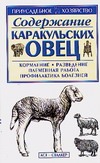 Содержание каракульских овец Содержание каракульских овец Бондаренко С.П.
