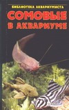 Сомовые в аквариуме Сомовые в аквариуме Кочетов С.М.