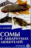 Сомы в аквариумах любителей Сомы в аквариумах любителей Цирлинг М.Б.