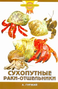 Сухопутные раки-отшельники