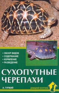 Сухопутные черепахи Сухопутные черепахи Гуржий А.Н.