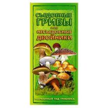 Съедобные грибы и их несъедобные двойники